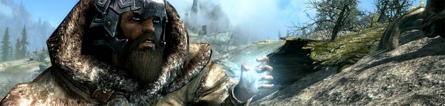 Fallout 4 и Skyrim Special Edition – лучшие модификации